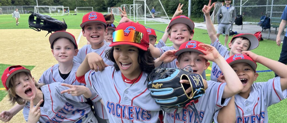 Meet great friends! Baseball Divisions Info